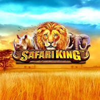 Safari King cover image
